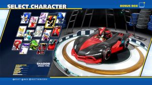Team Sonic Racing character