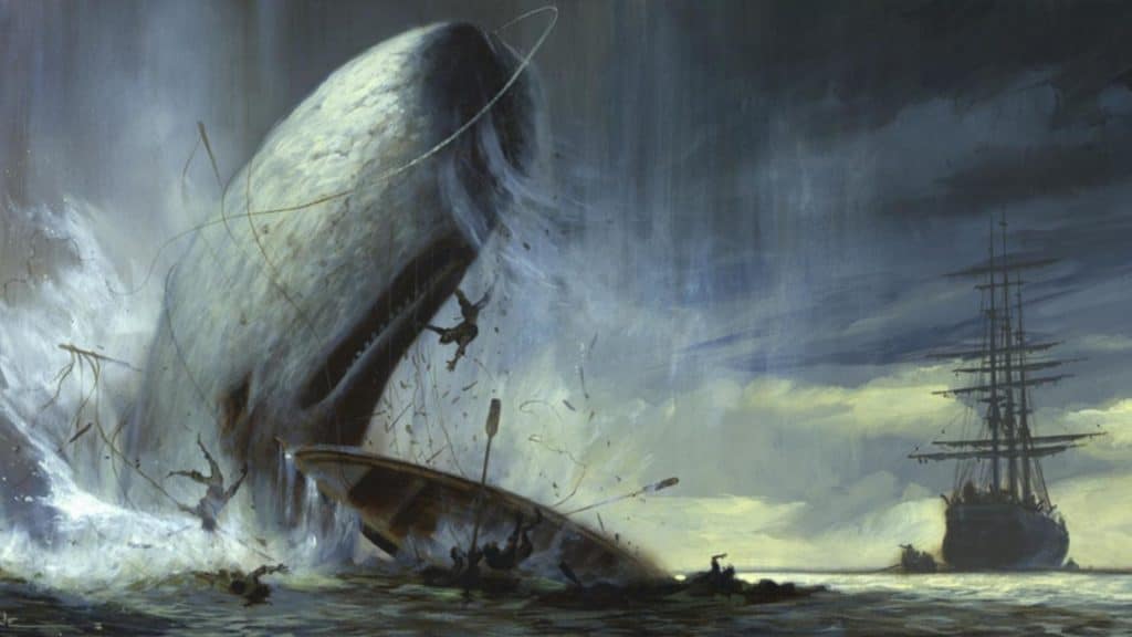 Patrick Ness: A oceán byl naší oblohou cover